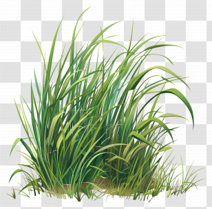Grass - Green Grass Illustration With Blade Details Transparent PNG