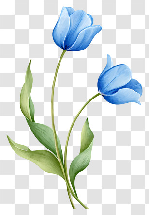 Blue Tulips - Blue Tulip Pair Illustration Transparent PNG