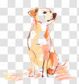Dog - Sitting Dog Illustration Transparent PNG