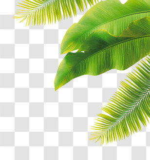 Flowers - Background With Green Palm Leaves Transparent PNG