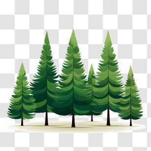 Christmas Tree - Green Pine Trees In A Forest Transparent PNG