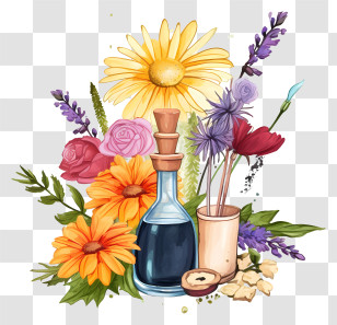 Sketch Flower Essences Therapy - Colorful Flowers With Aromatherapy Oils Transparent PNG