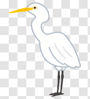 Bird - Minimalist White Egret Illustration Transparent PNG