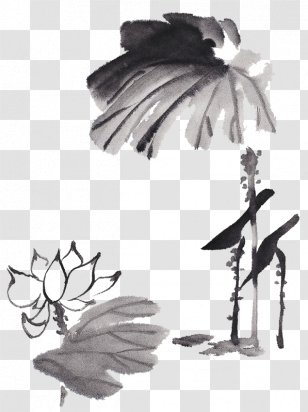 Sacred Lotus Ink Wash Painting Image India - Black And White Transparent PNG