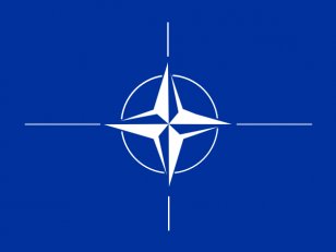 United States The North Atlantic Treaty Organization Flag Of NATO - Secretary General Nato - Unicef Symbol Transparent PNG