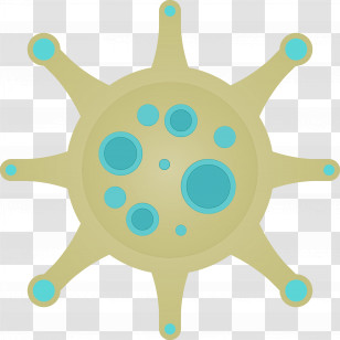 Green Turquoise Aqua Circle Turquoise Transparent PNG