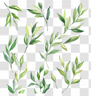 Leaf Painting - Watercolor Green Leaves Illustration Transparent PNG