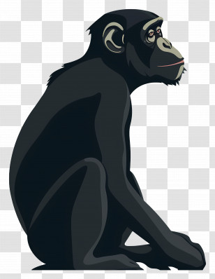 Monkey - Chimpanzee Sitting Illustration Transparent PNG
