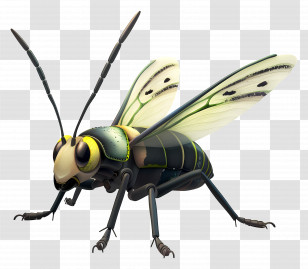 Summer - Green And Yellow Cartoon Insect Illustration Transparent PNG