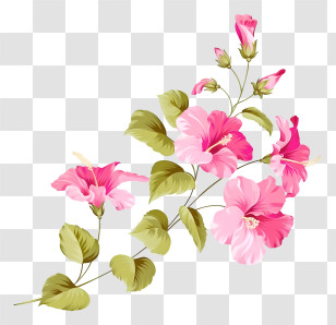 Digital Image - Pink Flowers With Green Leaves Transparent PNG