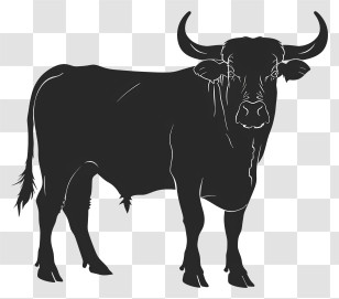 Bull Silhouette - Strong Black Bull Silhouette Design Transparent PNG
