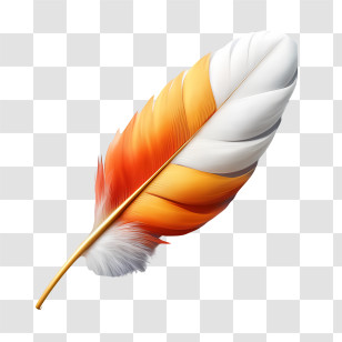 Feather - Colorful Feather Artwork With Orange And White Transparent PNG
