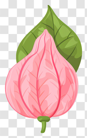 Plant - Pink Fruit With Green Leaves Transparent PNG