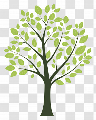 Simple Tree - Graphic Illustration Of Green Tree With Leaves Transparent PNG