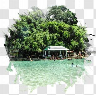 Alcoy Obong Watchtower Ruins Dalaguete Beach Park Resort Tourism - Recreation - Tree Overlooking Transparent PNG