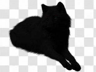 Schipperke Whiskers Puppy Arctic Wolf Snout - Cat Like Mammal Transparent PNG