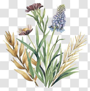 Bouquet Of Flowers - Decorative Wildflowers With Plants Transparent PNG