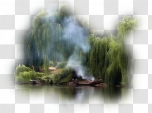 Water Resources Feature Building Nature Desktop Wallpaper - Tuesday Transparent PNG