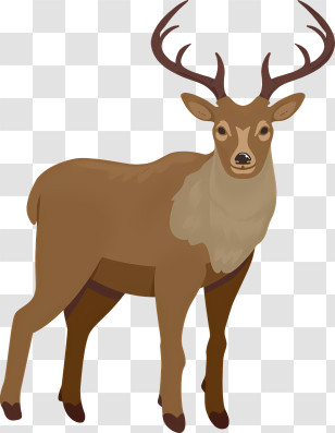 Deer - Deer Illustration With Antlers Transparent PNG