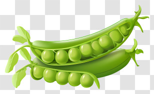 Green Peas - Fresh Green Pea Pods Transparent PNG