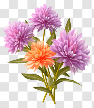 Dahlia Flowers - Purple And Orange Dahlia Flower Arrangement Illustration Transparent PNG