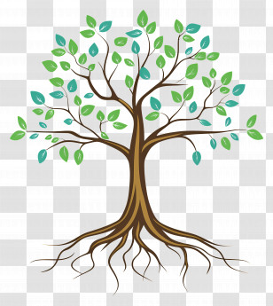 Tree With Roots - Tree With Roots And Green Leaves Illustration Transparent PNG
