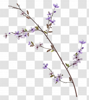 Small Purple Flowers - Delicate Flowering Branch In Bloom Transparent PNG
