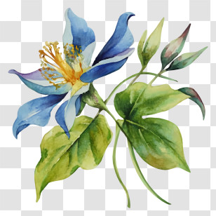 Painting - Blue Flower With Green Leaves Transparent PNG