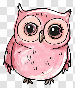 Owl - Cute Pink Owl With Big Eyes Transparent PNG