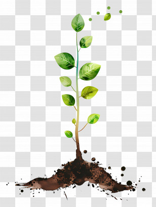 Growth - Green Plant Sprouting With Soil Transparent PNG