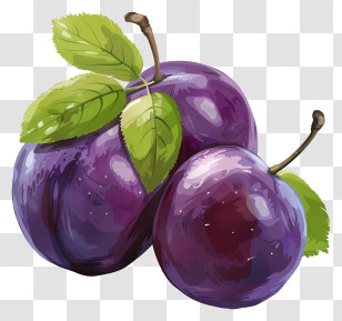 Plums - Fresh Purple Plums With Green Leaves Transparent PNG
