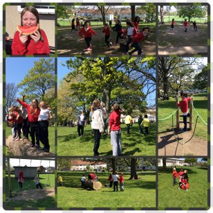 Public Space Tree Lawn Walking Collage - Plant - Recreation Transparent PNG