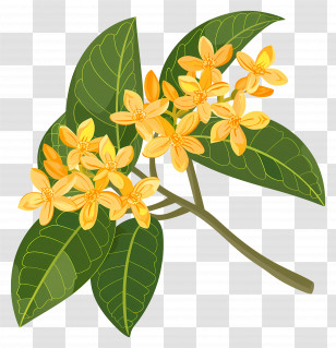 Osmanthus Flower - Yellow Flower Branch With Green Leaves Transparent PNG