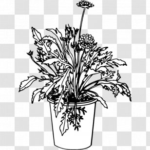 Floral Design Cut Flowers Flowerpot Plant Stem - Drawing - Leaf Transparent PNG