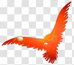 Rinnovamento Nello Spirito Santo Holy Spirit Sanctuary Of The Madonna Di San Luca Roman Catholic Archdiocese Bologna Wet N Wild Photo Focus Foundation - Bird Prey - Pentecost Transparent PNG