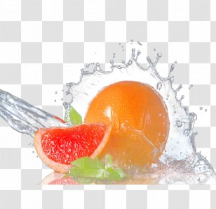 Presentation Reverse Osmosis Water Shutterstock Health - Dandruff - Fruit In Transparent PNG
