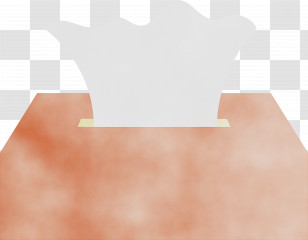 Angle Peach Mathematics Geometry Transparent PNG