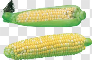 The Maize Rye Bread Cereal - Corn Kernel - Image Transparent PNG