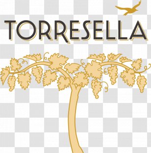 Prosecco Sparkling Wine White Champagne - Leaf Transparent PNG
