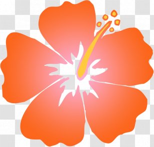 Hibiscus Schizopetalus Hawaiian Orange Clip Art - Peach - Cliparts Transparent PNG