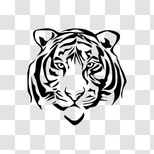 Tiger Logo - Black And White Tiger Face Illustration Transparent PNG