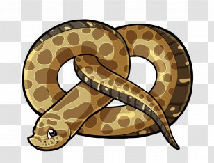 Boa Constrictor Hognose Snake Rattlesnake Vipers - Scaled Reptile Transparent PNG