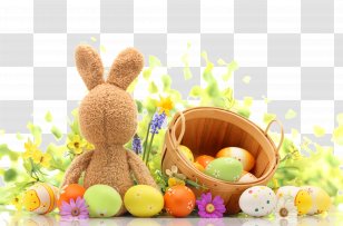 Easter Bunny Photography Egg Photographic Studio - Stock - Exquisite Ad Elements Transparent PNG