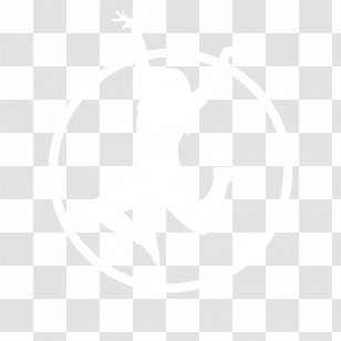 United States Hotel Business Privately Held Company Oakland Raiders - Logo Transparent PNG
