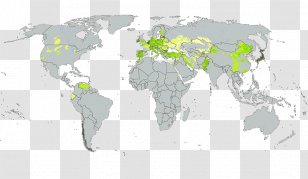 World Map Globe Projection - Area Transparent PNG