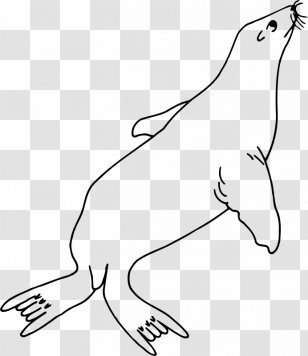 Sea Lion Coloring Book Line Art Clip - Animal Figure - Nature Animals Seal Transparent PNG