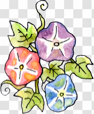 Floral Design Transparent PNG