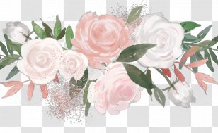 BTS K-pop Image Musician Day6 - Rosa Centifolia - Watercolor Aesthetic Transparent PNG