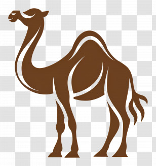 Simple Design - Stylized Camel Illustration For Desert Representation Transparent PNG