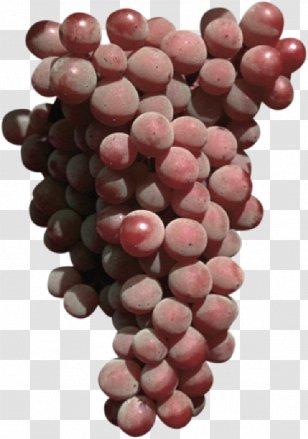 Sultana Common Grape Vine Wine Seedless Fruit - Table Transparent PNG